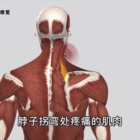 脖子如果天天落枕，那可能就是颈椎病了