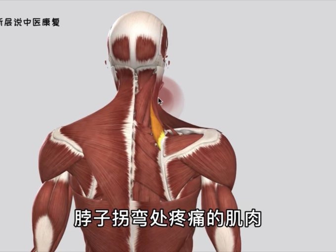 按摩保健