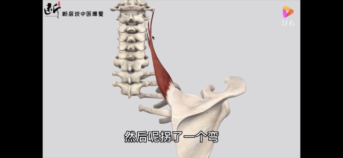按摩保健