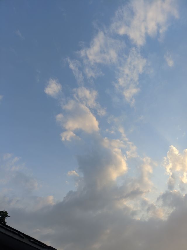 天气不错