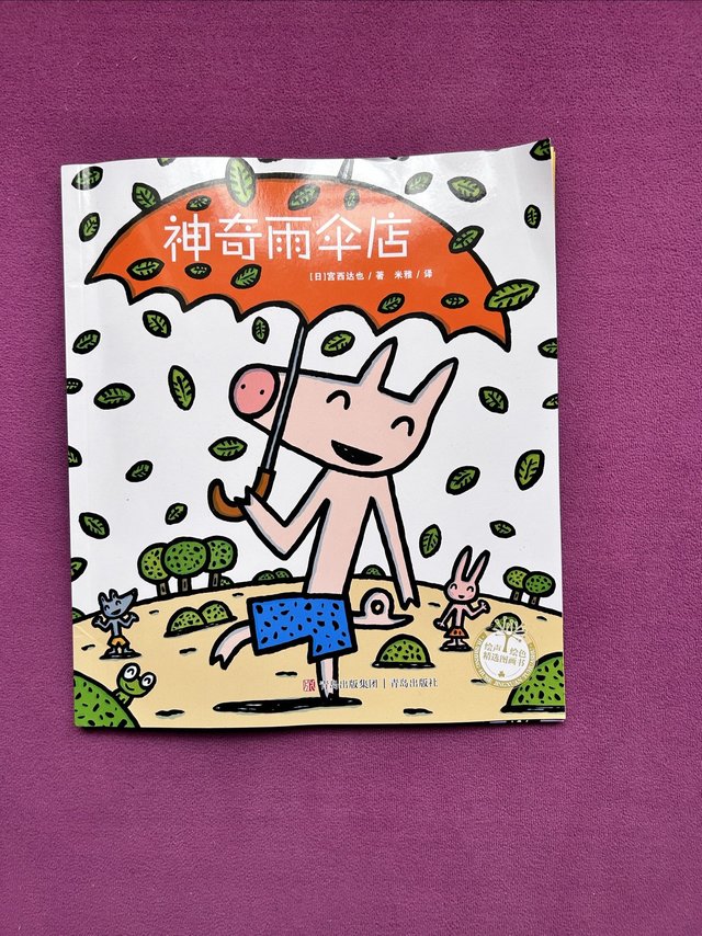 我也想要把神奇雨伞