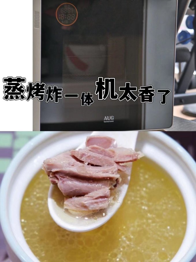 奥格电烤箱