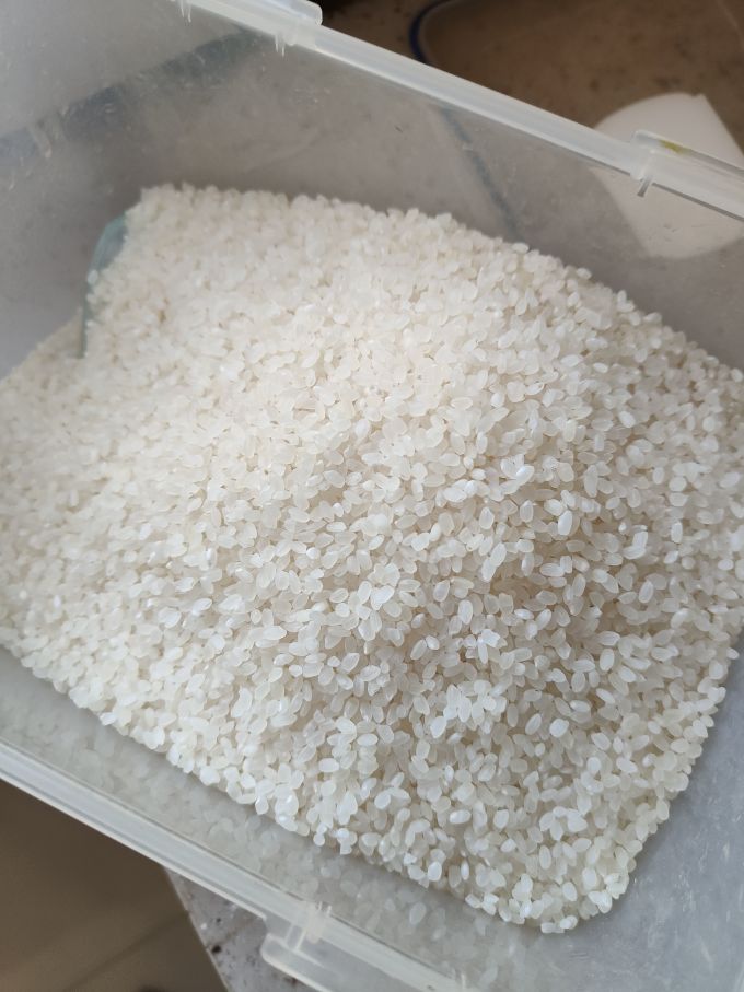 福洞河大米