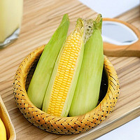 水果甜玉米的营养价值及功效，让你吃出健康！