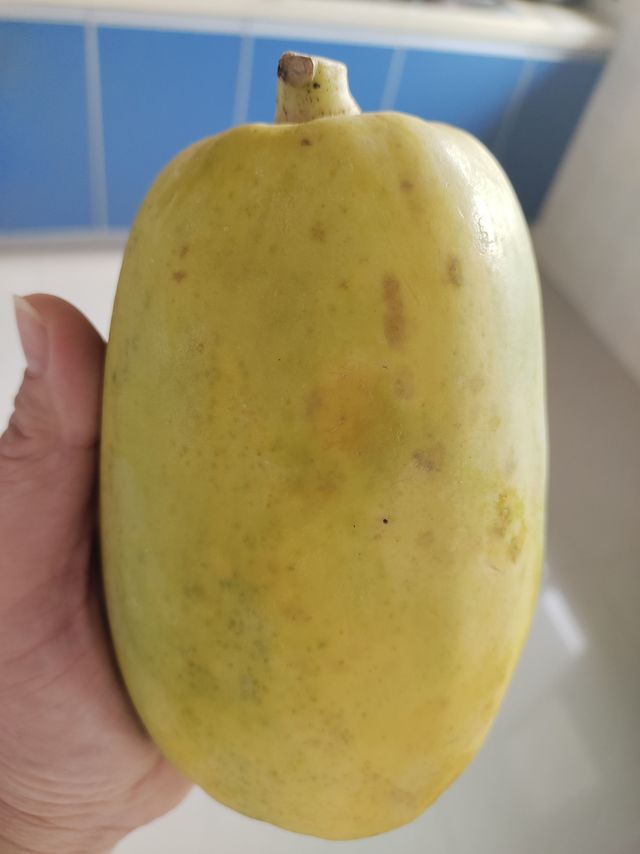 大木瓜好吃不齁甜