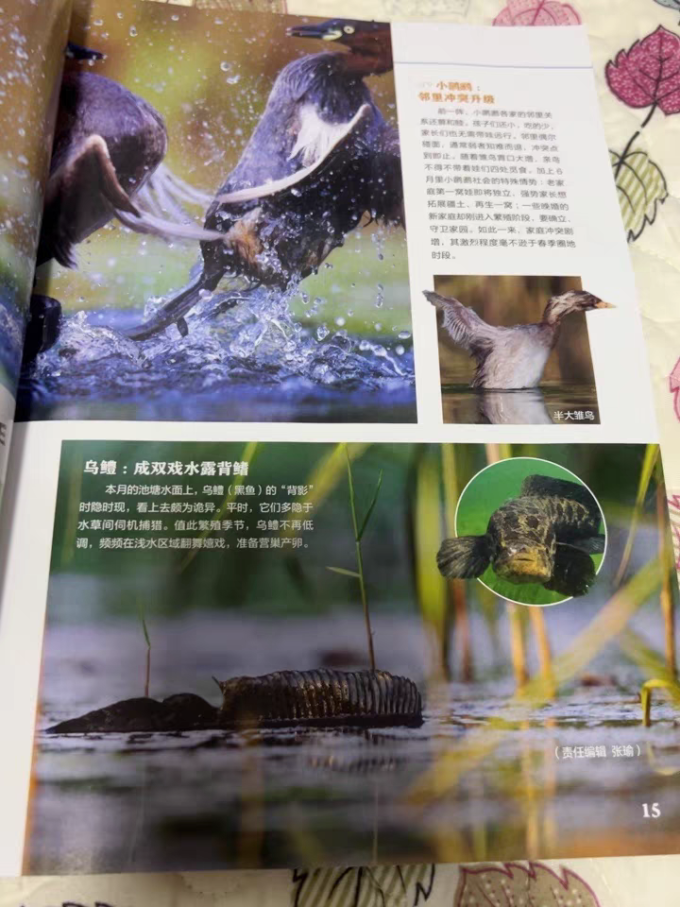 科学技术