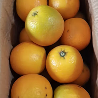 在这个夏日里，橙子可以说是我最喜欢吃是水果之一了