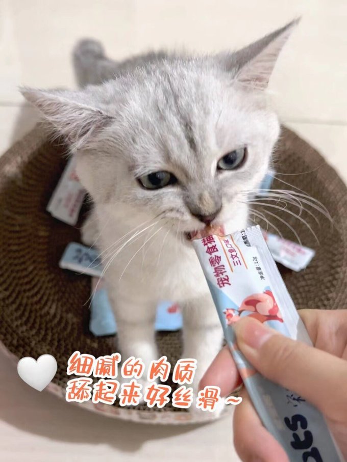 爱宠赐猫零食