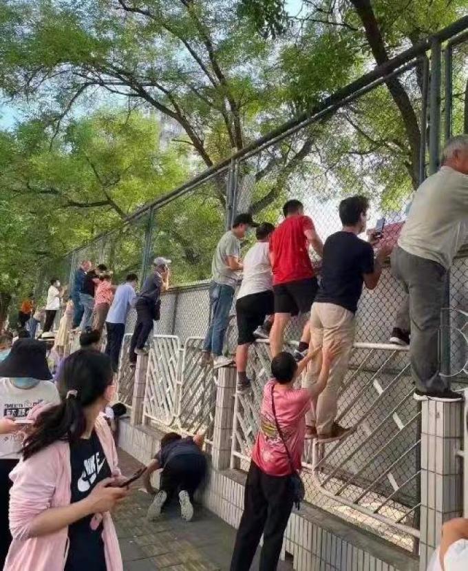 卡拉羊幼儿书包