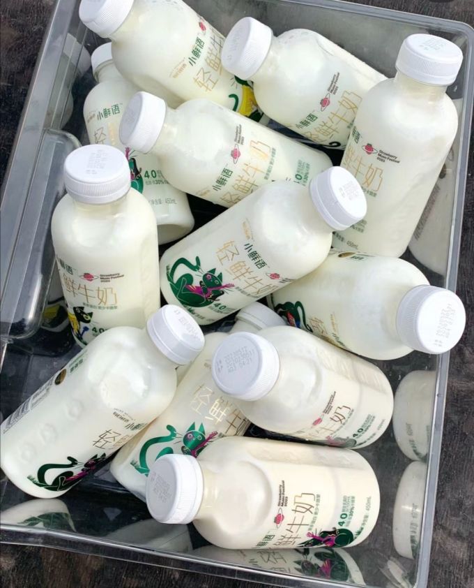 每日鲜语低温牛奶