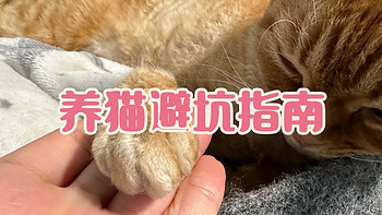 养猫避坑指南，干货助你轻松养好哈基米