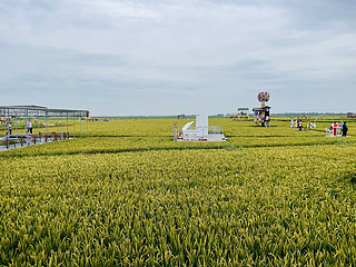 抓住夏日的尾巴，盘锦红海滩值得一逛