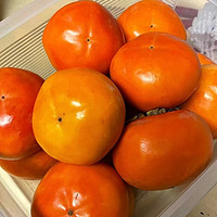 夏日食光 脆柿子