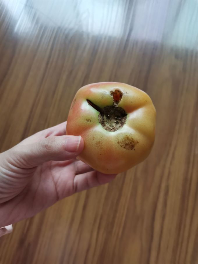 绿行者蔬菜