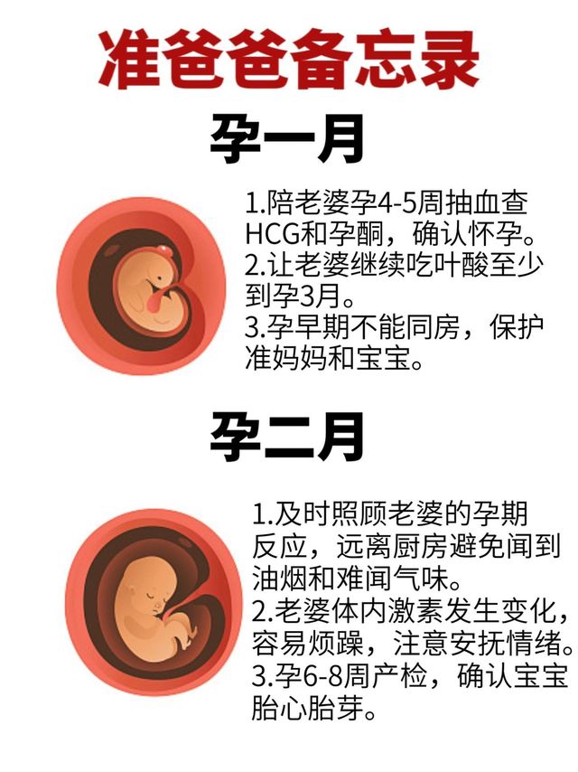 老婆怀孕🤰，准爸爸可以做的事情有很多！