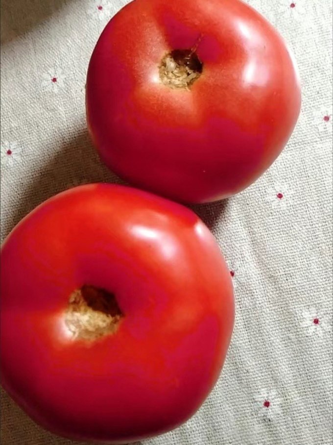 绿行者蔬菜