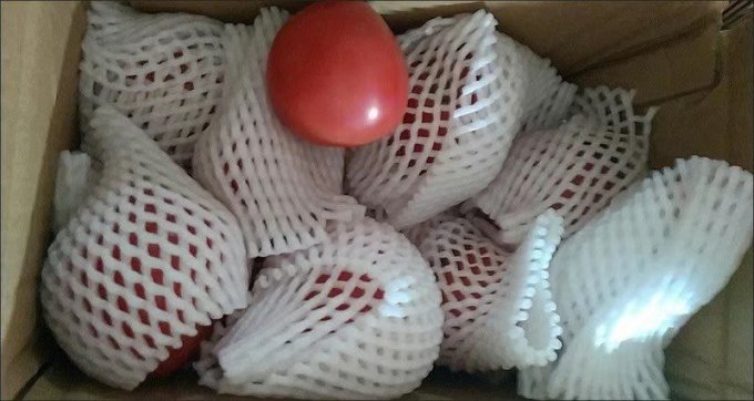 绿行者蔬菜