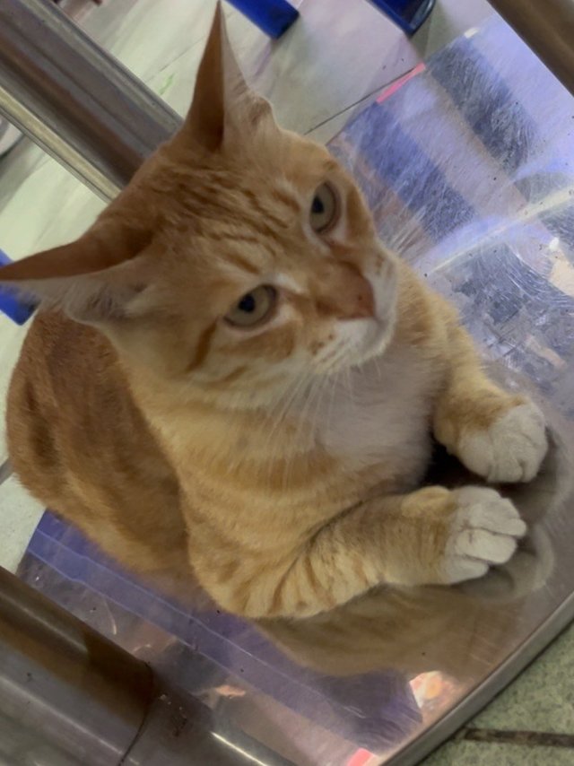 你吃你的，不用理我感受