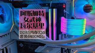 DDR5装机主流内存，国产真香，闭眼入