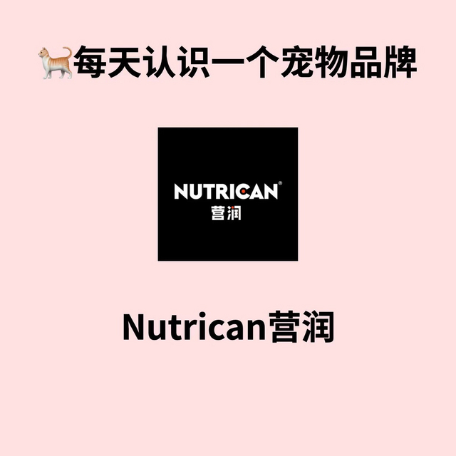 Nutrican营润｜每天认识一个宠物品牌🐱