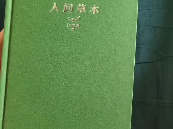浅读《人间草木》有感