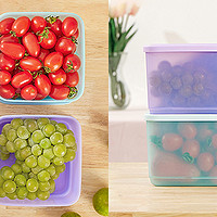 特百惠多功能-冷藏保鲜盒 - 莫兰迪色系，为多彩生活增添色彩