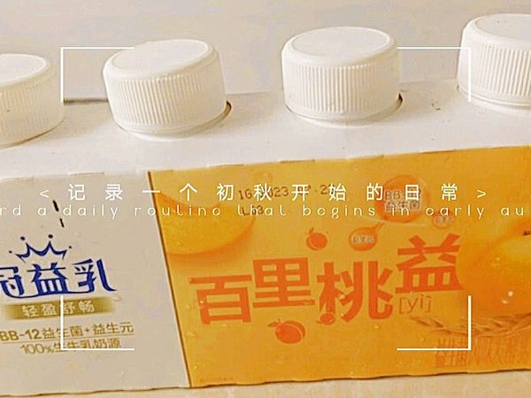 蒙牛冠益乳 燕麦+黄桃酸奶