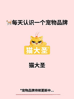 猫大圣｜每天认识一个宠物品牌🐱