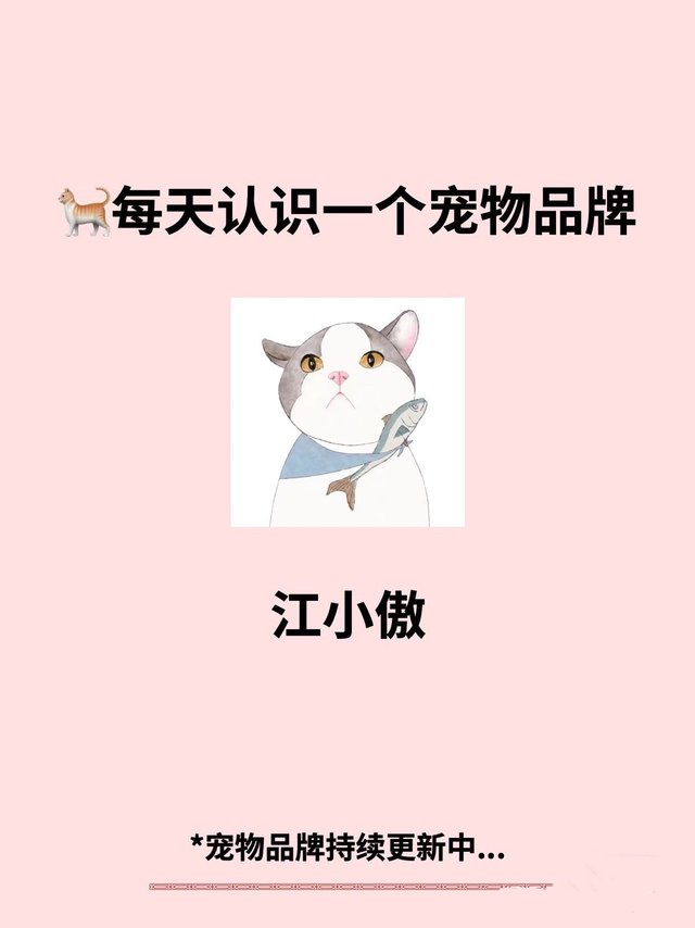 江小傲｜每天认识一个宠物品牌🐱