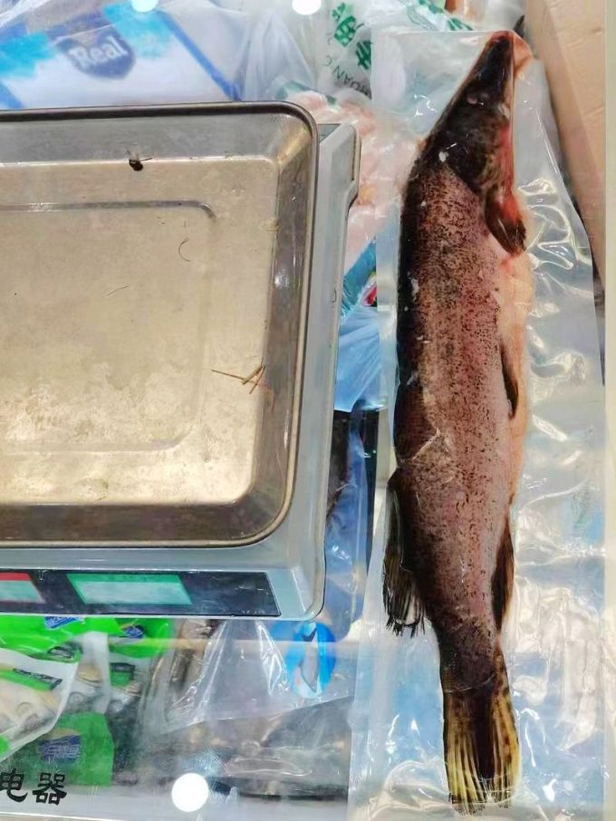 仟佳佰味海鲜水产