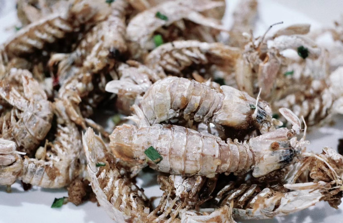 美加佳虾类