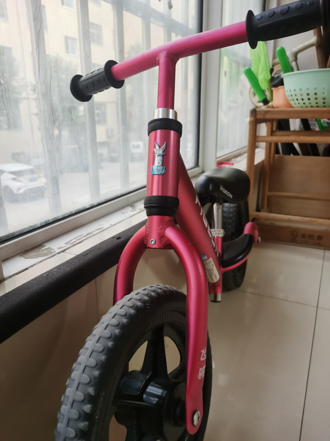 飞鸽儿童健身车