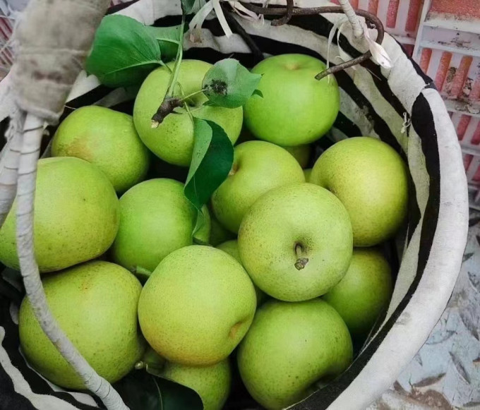 芙润仕其他水果