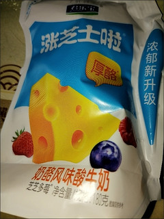 宝藏乳品~~奶酪风味酸牛奶