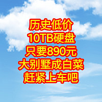 历史低价，只要890元全新10TB硬盘，大别墅成白菜，上车吧，不要犹豫了。