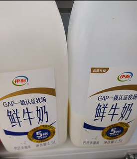 伊利高品质全脂鲜牛奶1.5L家庭桶装 