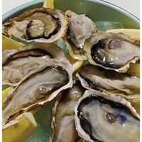 生蚝盛宴：品尝顶级牡蛎的奢华体验