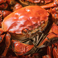 好吃的 篇一百七十五：怎样挑选好吃的大闸蟹