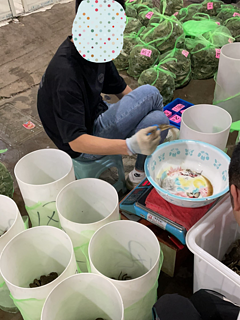 又到了吃螃蟹的季节了🦀