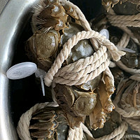 到了吃螃蟹的季节，意味着我们可以享受到鲜美可口的蟹肉和饱满的蟹黄