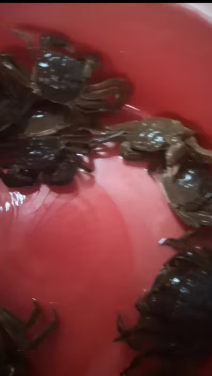 乾澄海鲜水产