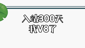 入站300天，我V8了|玩转张大妈 