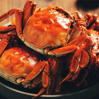 金秋九月，品味鲜活大闸蟹的美味盛宴
