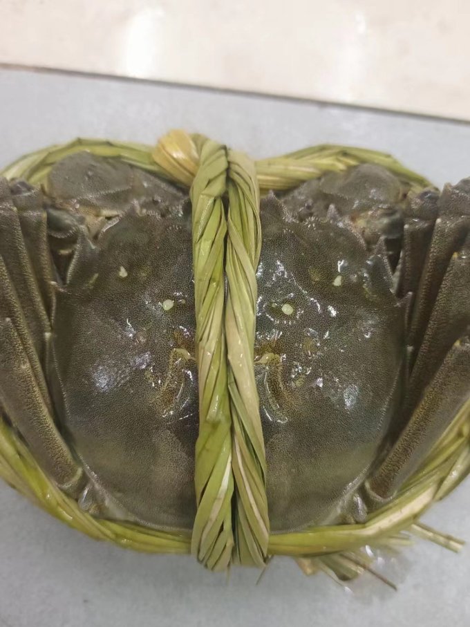 海鲜水产