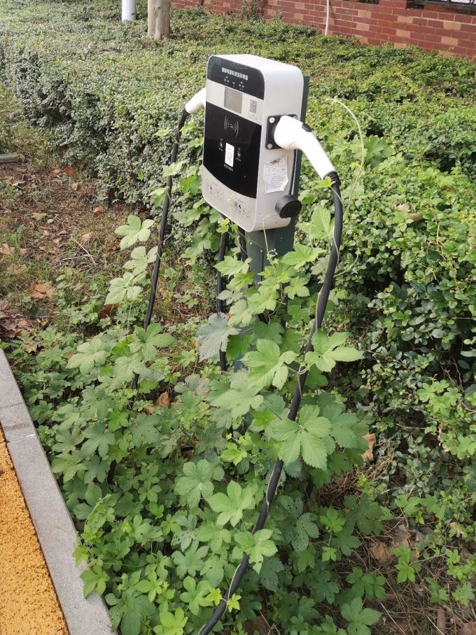 园艺用品