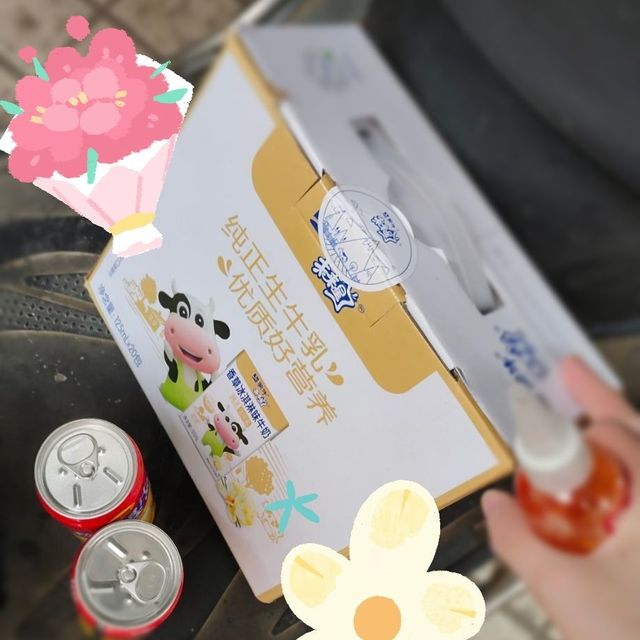 未来星闪耀，他们准备好了吗？