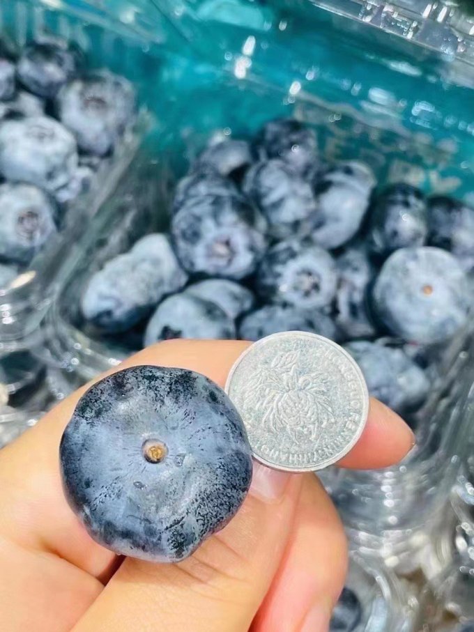 卉双新鲜水果