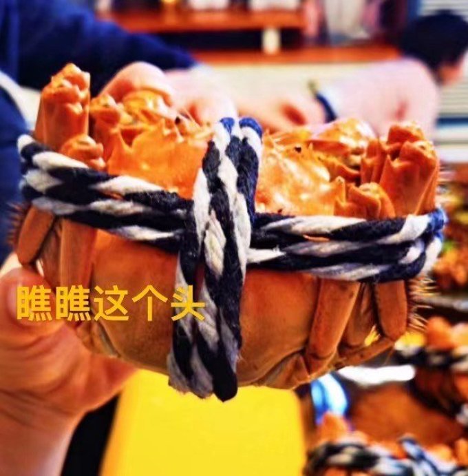 湖鲜阳澄蟹类