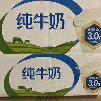 伊利纯牛奶，每天营养站