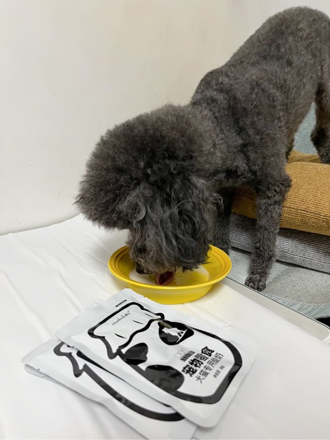 猫犬通用零食